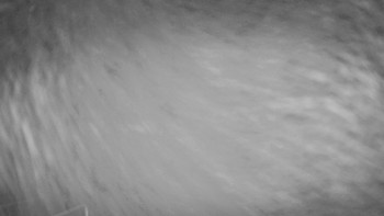 Snímek 17.11.2025 v 03:30