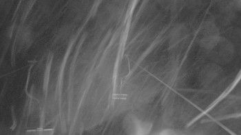 Snímek    14.10.2025 v 21:00