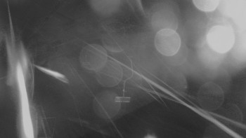 Snímek    2.11.2025 v 23:00