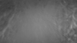 Lanovka - pohled nahoru