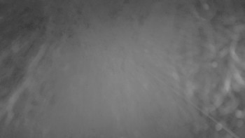 Snímek 13.11.2025 v 17:00