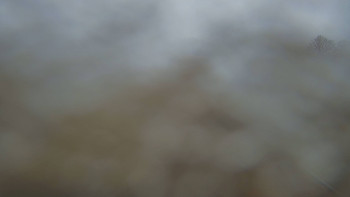 Snímek 17.11.2025 v 13:00