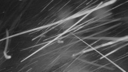 Lanovka - pohled nahoru