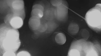 Snímek 17.11.2025 v 22:00