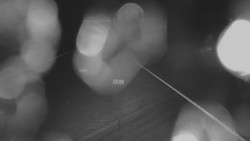 Lanovka - pohled nahoru