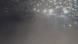 Lanovka - pohled nahoru