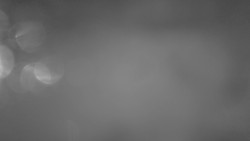 Lanovka - pohled nahoru