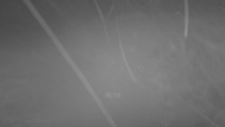 Lanovka - pohled nahoru