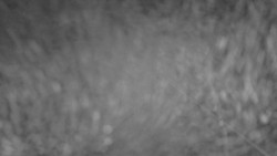 Lanovka - pohled nahoru