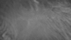 Lanovka - pohled nahoru