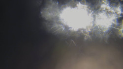 Lanovka - pohled nahoru