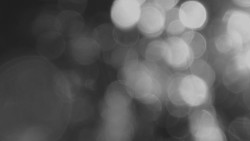 Lanovka - pohled nahoru