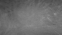 Lanovka - pohled nahoru