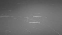 Lanovka - pohled nahoru