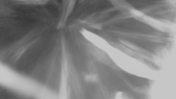 Lanovka - pohled nahoru