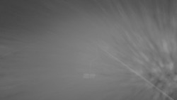 Lanovka - pohled nahoru