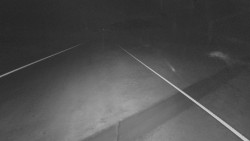 Lanovka - pohled nahoru