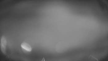 Snímek    22.10.2025 v 21:01