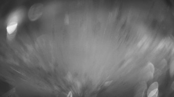 Snímek 9.11.2025 v 17:01