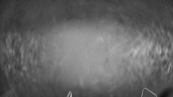 Snímek    10.11.2025 v 20:01