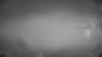 Snímek    14.11.2025 v 19:01