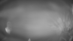 Lanovka - pohled dolů