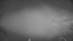 Lanovka - pohled dolů