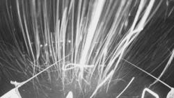 Lanovka - pohled dolů