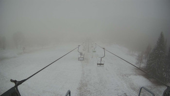 Snímek    19.11.2025 v 08:01