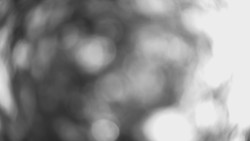 Lanovka - pohled dolů