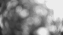 Lanovka - pohled dolů