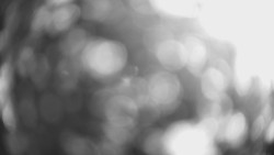 Lanovka - pohled dolů