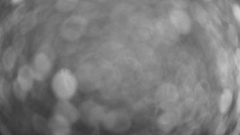 Snímek 24.11.2025 v 01:01