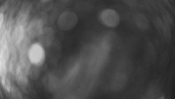 Lanovka - pohled dolů