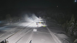 Lanovka - pohled dolů