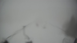 Lanovka - pohled dolů