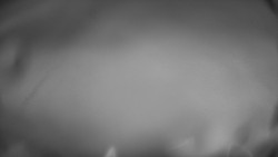 Lanovka - pohled dolů