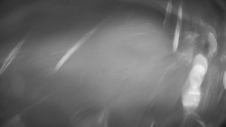 Lanovka - pohled dolů