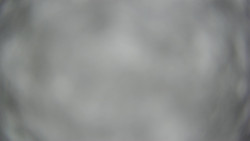 Lanovka - pohled dolů