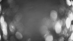 Lanovka - pohled dolů