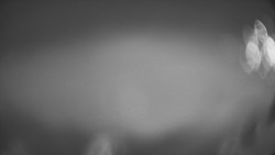 Lanovka - pohled dolů