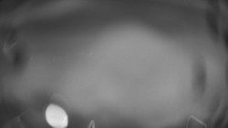 Lanovka - pohled dolů