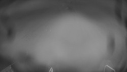 Lanovka - pohled dolů