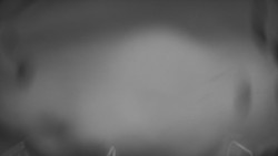 Lanovka - pohled dolů