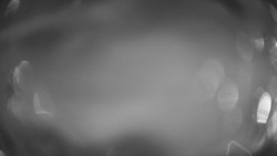 Lanovka - pohled dolů