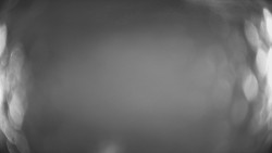 Lanovka - pohled dolů