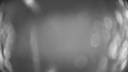 Lanovka - pohled dolů