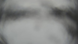 Lanovka - pohled dolů