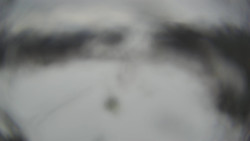 Lanovka - pohled dolů