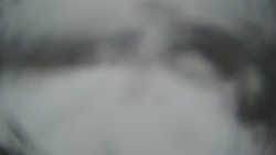 Lanovka - pohled dolů